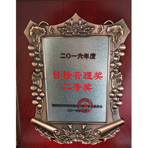 目標(biāo)管理獎(jiǎng)二等獎(jiǎng)