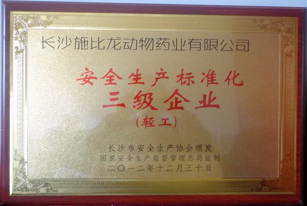 安全生產(chǎn)標(biāo)準(zhǔn)化三級(jí)企業(yè)